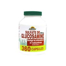글루코사민 황산염 500mg 360정(관절염)